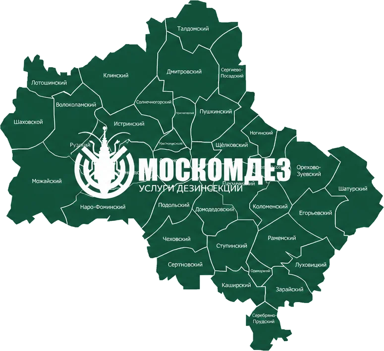 Карта выезда: Шатура и Московская область